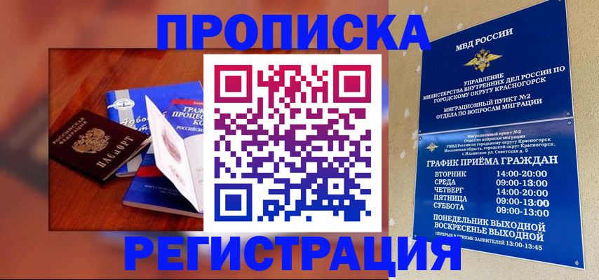 временная регистрация для школы в Звенигово